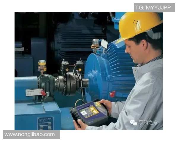 全面解析赛事信息整理的重要性与实用技巧分享